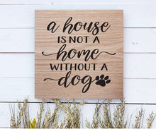 Dog Days Collection - Squares