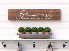Spring Collection - Planks