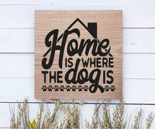 Dog Days Collection - Squares