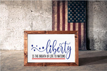 Americana Collection - Large Framed Signs