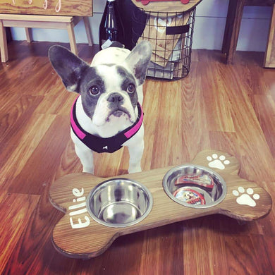 Dog Days Collection  - Doggie Dining Station