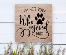 Dog Days Collection - Squares