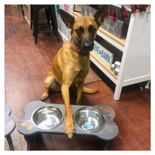 Dog Days Collection  - Doggie Dining Station